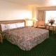 Camino Real Aeropuerto Hotel Picture 