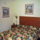 Super 8 Motel International Drive Hotel Picture 