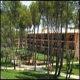Iberostar Vell Mari Hotel Picture 