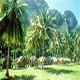 Krabi Resort Hotel Picture 