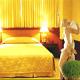 Best Western The Elegance Suites Hotel Picture 