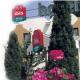 Ibis Hotel Koenigstein Dresden Picture 