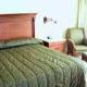 Camino Real Villahermosa Hotel Picture 