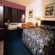 Comfort Inn Airport Hotel Picture 