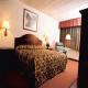 Comfort Inn Airport Hotel Picture 
