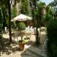 Delle Muse Hotel Picture 