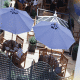 The Sloane Club Suites Hotel Picture 