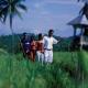 Maya Ubud Resort And Spa Hotel Picture 