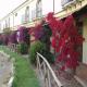 Medar Holiday Village Alabirdi Hotel Picture 