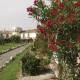 Ribot Holiday Village Alabirdi Hotel Picture 