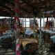 Village Alabirdi Villini/Bungalow Hotel Picture 