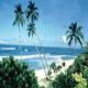 Palm Beach Hotel Picture 