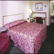 Red Roof Inn International Hotel Picture 