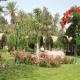 The Oasis Hotel Picture 