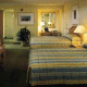Wyndham International Drive Hotel Picture 