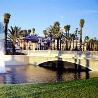Sheraton Vistana Village Hotel Picture 1