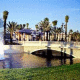 Sheraton Vistana Village Hotel Picture 