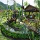 Deevana Patong Resort And Spa Hotel Picture 