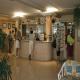 Alameda De Jandia Hotel Picture 