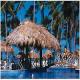 Sirenis Cocotal Beach Resort Hotel Picture 