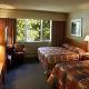 Lobstick Lodge Hotel Picture 