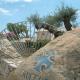 Cruccuris Resort Hotel Picture 