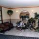 Gold Hotel Panzio Picture 