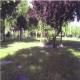 Dogana Vecchia Hotel Picture 