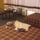 Sonesta Posada Del Inca Miraflores Hotel Picture 