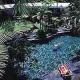 Bay Village Tropical Hotel Picture 