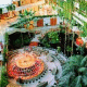 Occidental Grand Teguise Hotel Picture 