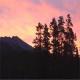 Sunwapta Falls Resort Hotel Picture 