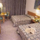 Shalom Plaza Neve Ilan Hotel Picture 