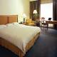 David Intercontinental Hotel Picture 