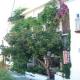 Dioscouri Hotel Picture 