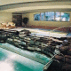 Delta Banff Royal Canadian Lodge Hotel Picture 