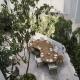Condesa Df Hotel Picture 