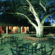 Club Bananas Hotel Picture 