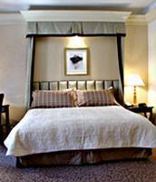 Carlton On Madison Hotel Picture 2