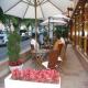 Estel Hotel Picture 