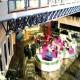 Holiday Inn Ciudad De Mxico Plaza Dal Hotel Picture 