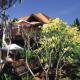 The Evason Hua Hin Resort And Spa Hotel Picture 