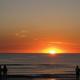 Sunset Vistas Beachfront Suites Hotel Picture 