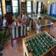 Lance Aux Epines Cottages Hotel Picture 