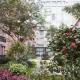 Lilac International Suite Hotel Picture 