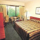 Chateau On The Park Hotel Picture 