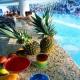 Occidental Grand Xcaret Hotel Picture 