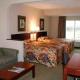 Comfort Suites Hotel Picture 