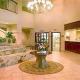 Comfort Suites Hotel Picture 