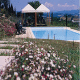 Sangallo Park Hotel Picture 